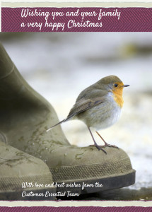 Merry Christmas 2013